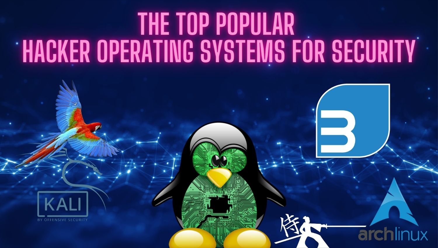 The Top Popular Hacker Operating Systems for Security