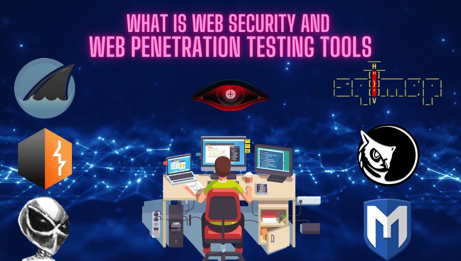 What is Web Security and Web Penetration Testing Tools