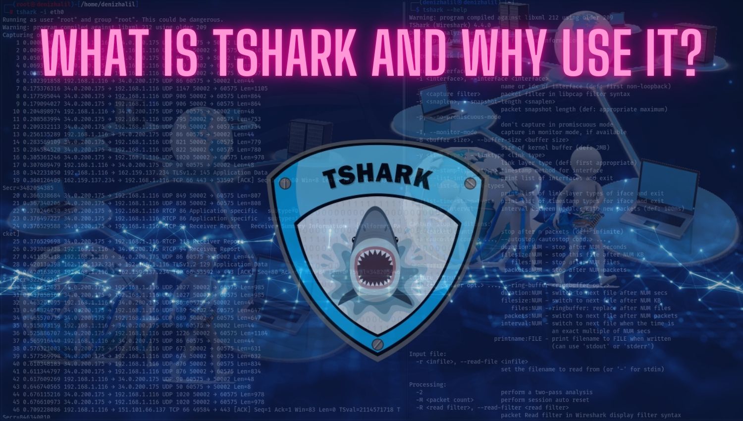 What Is TShark and Why Use It