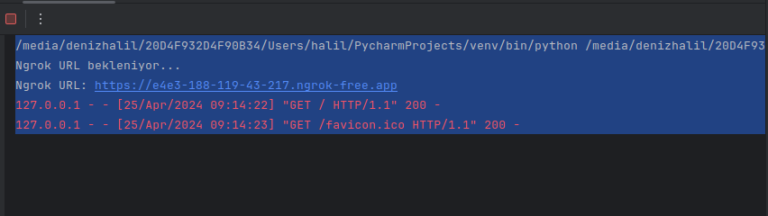 Python Ngrok Web Server: Exposing Your Local Web Application ...