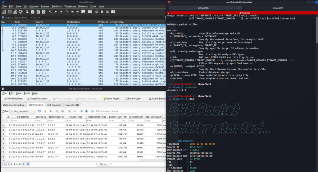 DNSWatch: Monitoring and Analyzing DNS Traffic for Enhanced Network Security