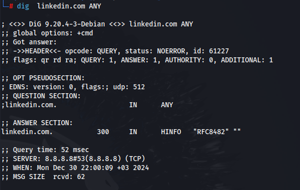 dig DNS Security